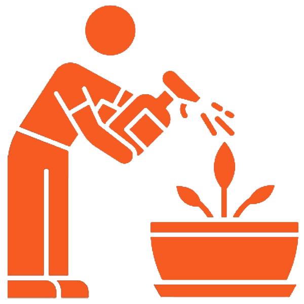 solution et recommandation