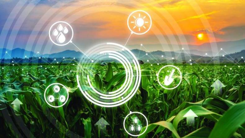 Agriculture durable et responsable