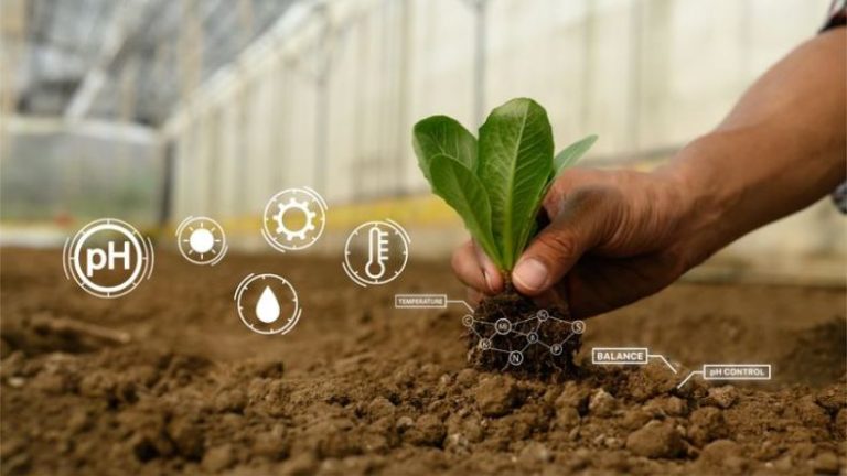 analyse de sols les parametre à prendre en compte