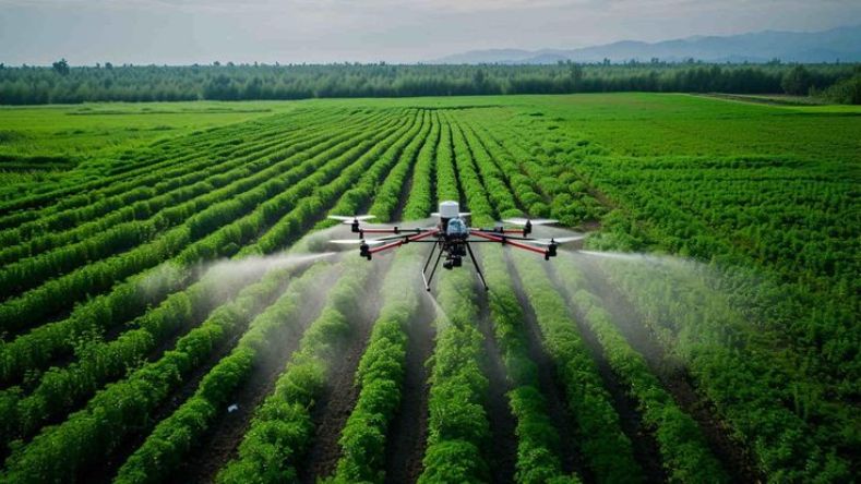 la révolution numérique va sécuriser l'agriculture de précision