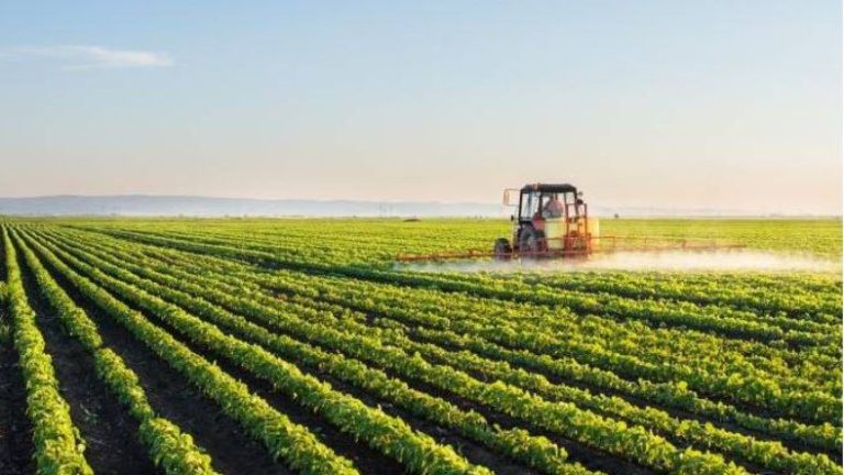 entrepreneuriat agricole les clés pour réussir dans l'agriculture en afrique