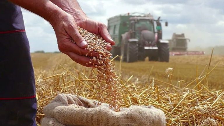 exploitation agricole la filière céréalière pour élargir la clientèle