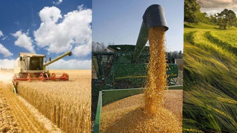 agriculture durable 2